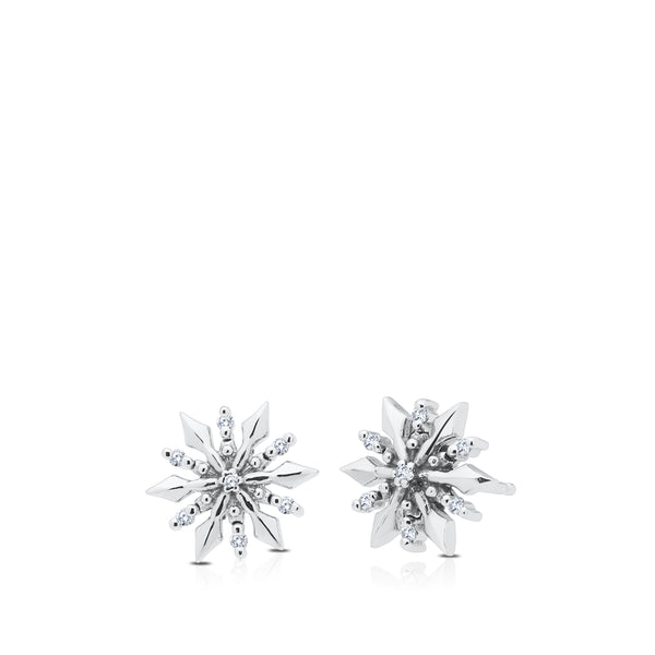 Bixlers Celebration Diamond Snowflake Earring In 14K White Gold 0